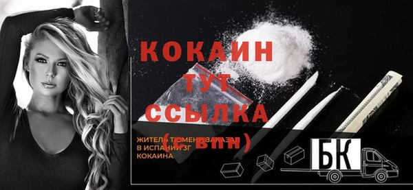 шишки Михайлов