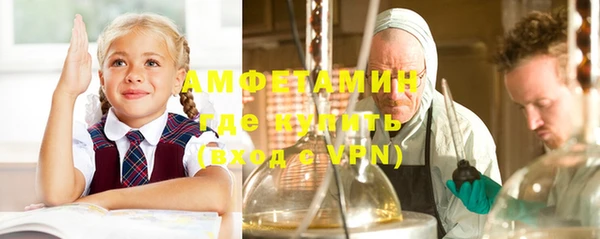 гидра Михайловка
