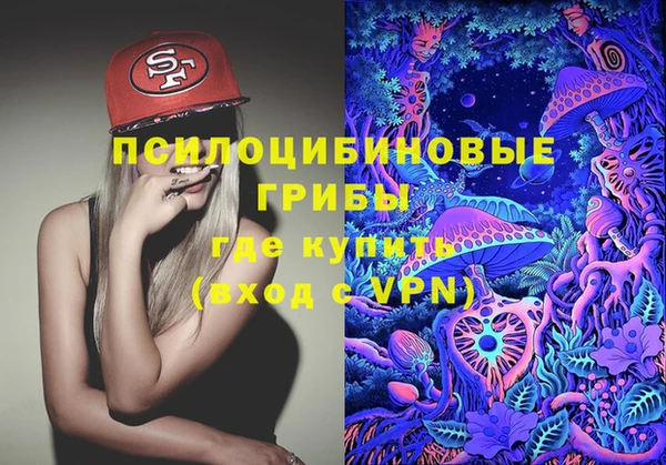гидра Михайловка