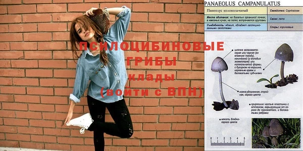 ешки Беслан