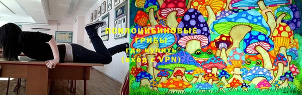 гидра Михайловка