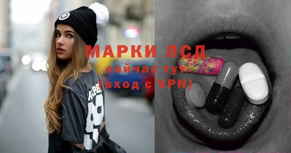 гидра Михайловка