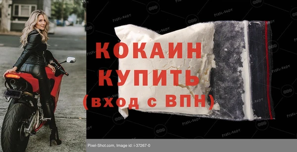 гидра Михайловка