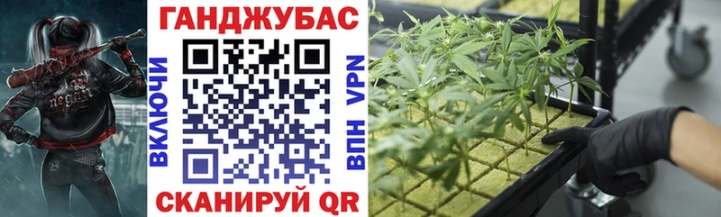 Бошки Шишки сатива  Мураши 